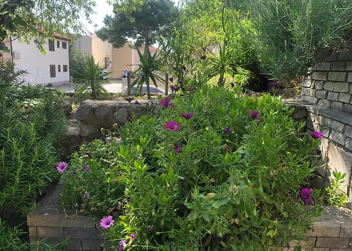Apartments Stari Pavle