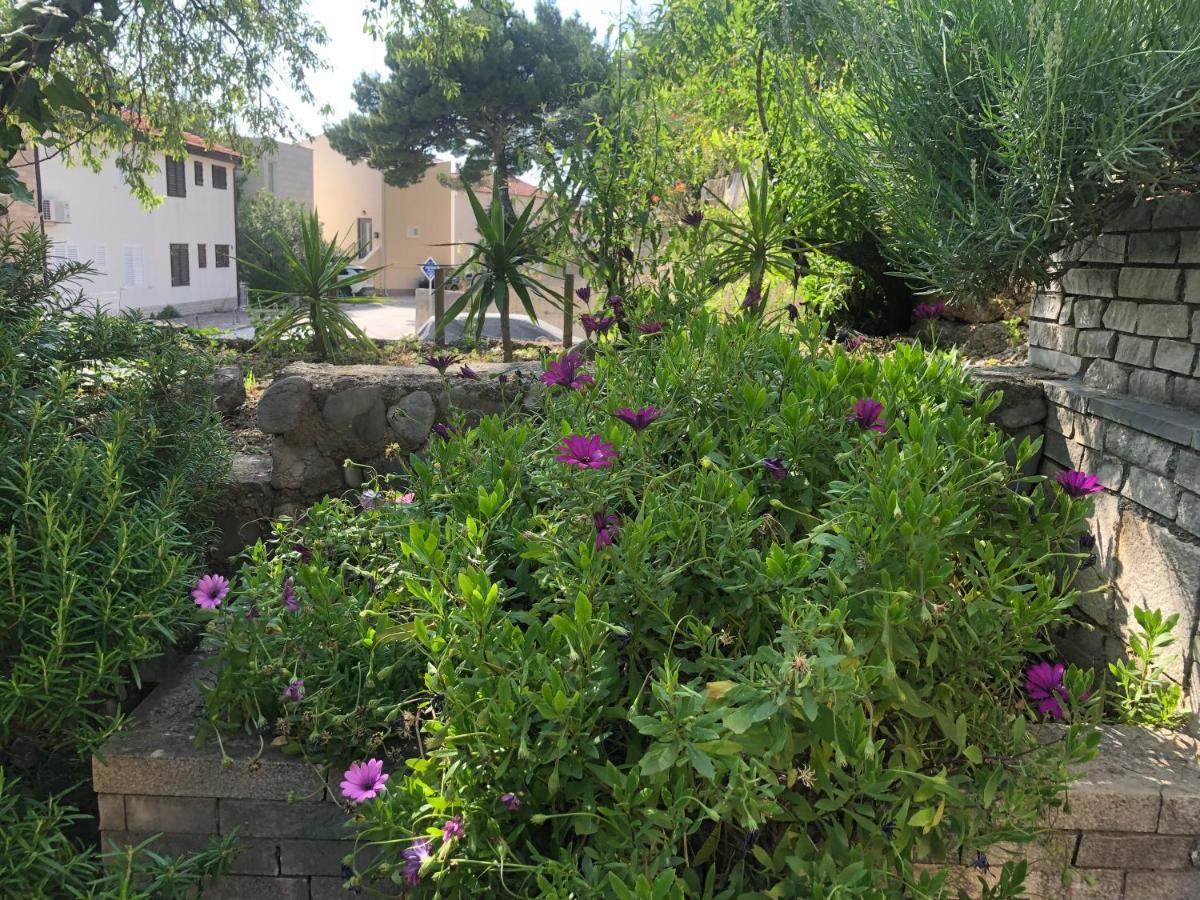 Stari Pavle Apartamento
